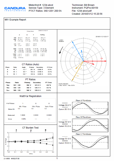 MIV sample report